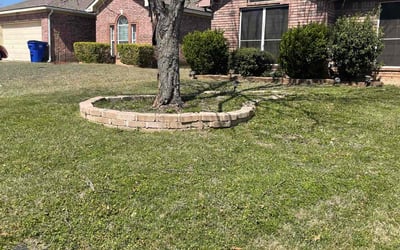 Photo of David M.'s yard after getting landscaping in Mansfield, TX