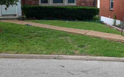 Photo of Barbara C.'s yard after getting landscaping in Valley Park, MO