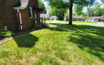 Photo of Michael R.'s yard after getting landscaping in Falmouth, KY