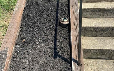 Photo of James C.'s yard after getting landscaping in Harwood, MD
