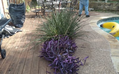 Photo of Melissa M.'s yard after getting landscaping in Scurry, TX