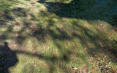 Photo of Melissa D.'s yard after getting landscaping in Portage, WI