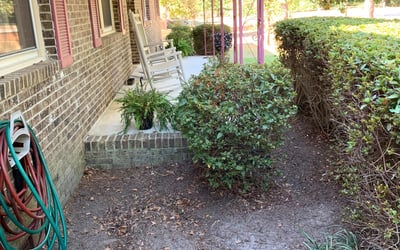 Photo of Sandra F.'s yard after getting landscaping in Winnsboro, SC