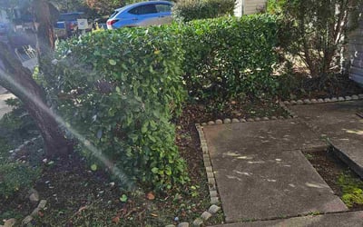 Photo of Kim R.'s yard after getting landscaping in Bryantown, MD
