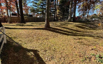 Photo of Catherine B.'s yard after getting landscaping in Thurmont, MD