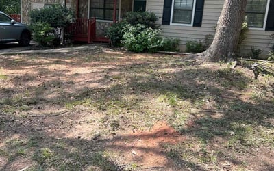 Photo of Rebecca M.'s yard after getting landscaping in Emerson, GA