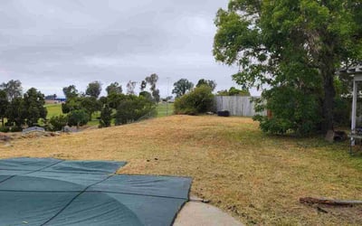 Photo of Jennifer F.'s yard after getting landscaping in San Diego, CA