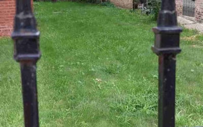 Photo of Elise C.'s yard after getting lawn care in Homer Glen, IL