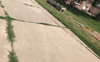 Photo of Jason M.'s yard after getting landscaping in Byers, CO