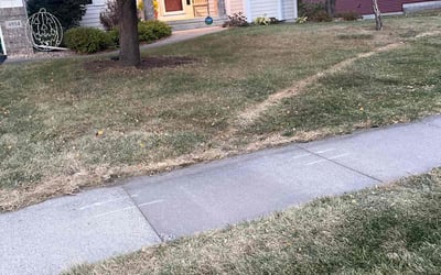 Photo of Brian A.'s yard after getting landscaping in Forest Lake, MN