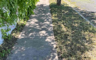 Photo of Susan M.'s yard after getting landscaping in Port Aransas, TX