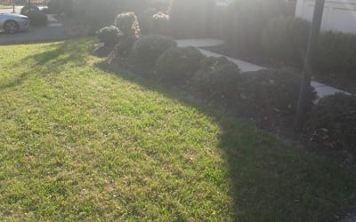 Photo of Kevin V.'s yard after getting landscaping in Brookeville, MD