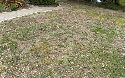 Photo of Kenneth P.'s yard after getting landscaping in Somerset, TX