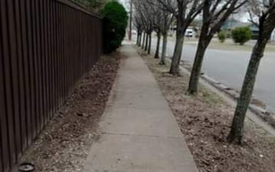 Photo of Yanette F.'s yard after getting tree care in Dayton, TX