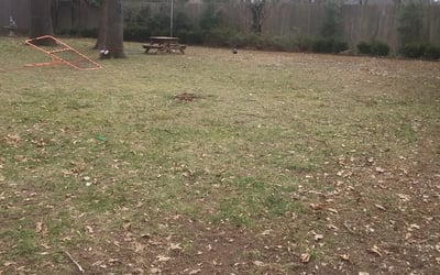 Photo of Tracey M.'s yard after getting landscaping in Henryetta, OK