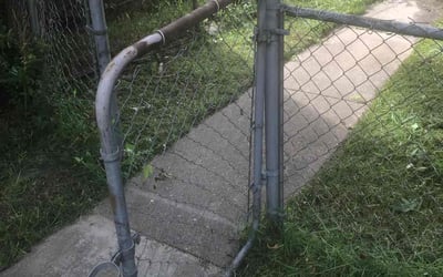 Photo of Diana U.'s yard after getting tree care in Gloucester, VA