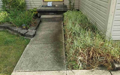 Photo of Linda B.'s yard after getting landscaping in New Straitsville, OH