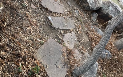 Photo of Curtis S.'s yard after getting landscaping in Divide, CO