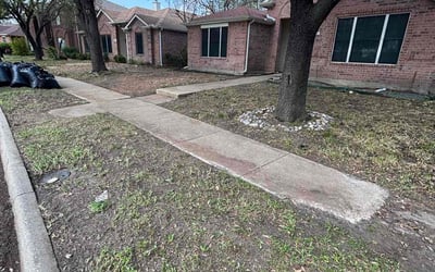 Photo of Marc M.'s yard after getting landscaping in Wylie, TX