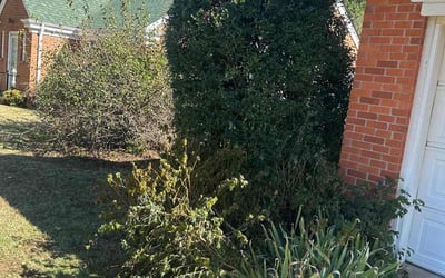 Photo of Tom R.'s yard after getting landscaping in Harrah, OK
