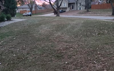 Photo of Rachel H.'s yard after getting landscaping in Cleveland, MO