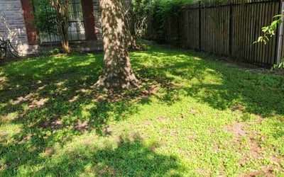 Photo of Kristi H.'s yard after getting landscaping in Port Bolivar, TX