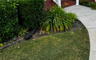 Photo of Ruth D.'s yard after getting landscaping in Loganville, GA