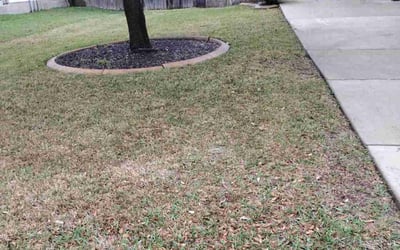 Photo of Jason H.'s yard after getting landscaping in Kyle, TX