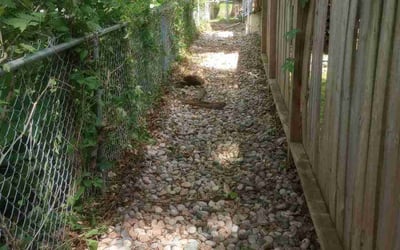 Photo of Sandi P.'s yard after getting landscaping in Spring Hill, KS