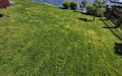 Photo of Rachel W.'s yard after getting landscaping in Mercer Island, WA