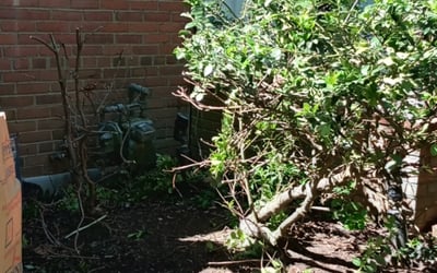 Photo of Matt L.'s yard after getting landscaping in Port Tobacco, MD
