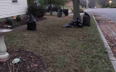 Photo of Andrew G.'s yard after getting landscaping in Victoria, MN