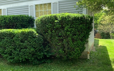 Photo of Brian B.'s yard after getting landscaping in Ostrander, OH