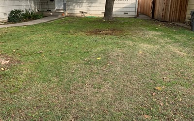 Photo of Edward K.'s yard after getting landscaping in Colfax, CA