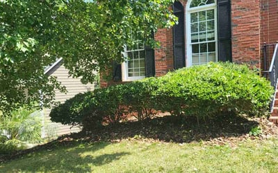 Photo of Jeremy B.'s yard after getting landscaping in Cleveland, NC