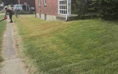 Photo of Erin W.'s yard after getting landscaping in Foster, KY