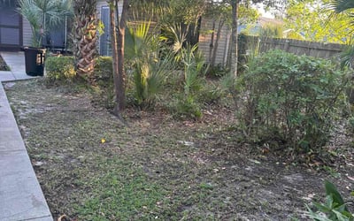 Photo of Mandeville S.'s yard after getting landscaping in Panama City, FL