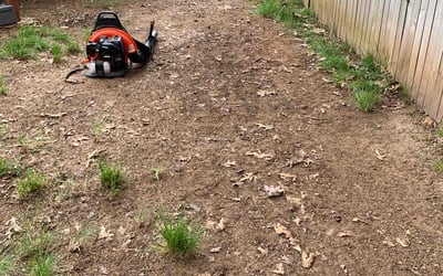 Photo of Robert H.'s yard after getting landscaping in Hamilton, VA