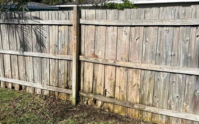 Photo of Mark K.'s yard after getting landscaping in Pompano Beach, FL