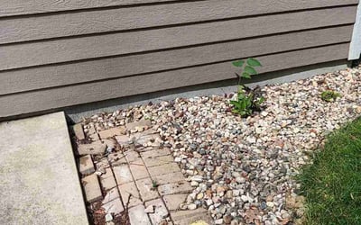 Photo of Tod P.'s yard after getting tree care in New Berlin, WI