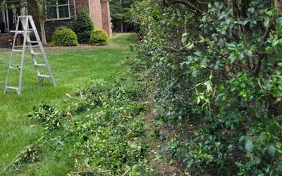 Photo of Tyler G.'s yard after getting landscaping in Union Grove, NC