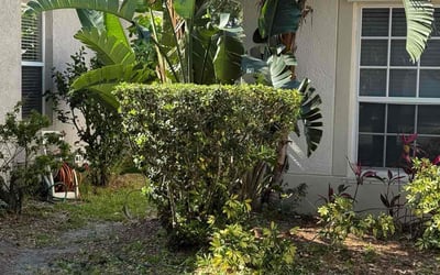 Photo of Juanita T.'s yard after getting landscaping in Melbourne, FL