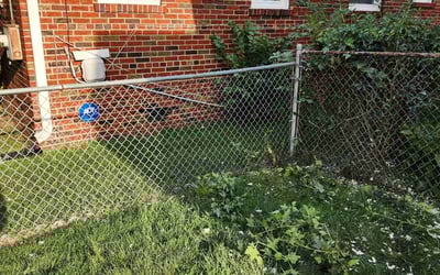 Photo of Carolyn B.'s yard after getting landscaping in Benedict, MD