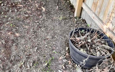 Photo of Kevin M.'s yard after getting landscaping in Romeo, MI