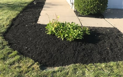 Photo of Alana M.'s yard after getting landscaping in Aurora, IN