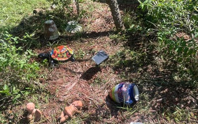 Photo of Hannah B.'s yard after getting lawn care in Belle Glade, FL