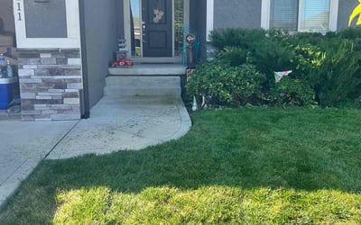 Photo of David G.'s yard after getting landscaping in Paola, KS