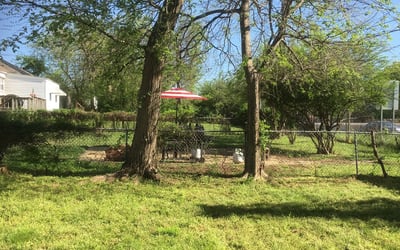 Photo of Mike W.'s yard after getting landscaping in Bristow, OK