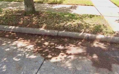 Photo of Mike S.'s yard after getting landscaping in Nevada, TX