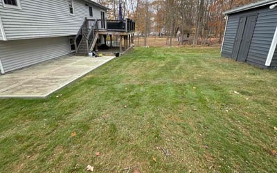 Photo of Sharon R.'s yard after getting landscaping in Mount Kisco, NY